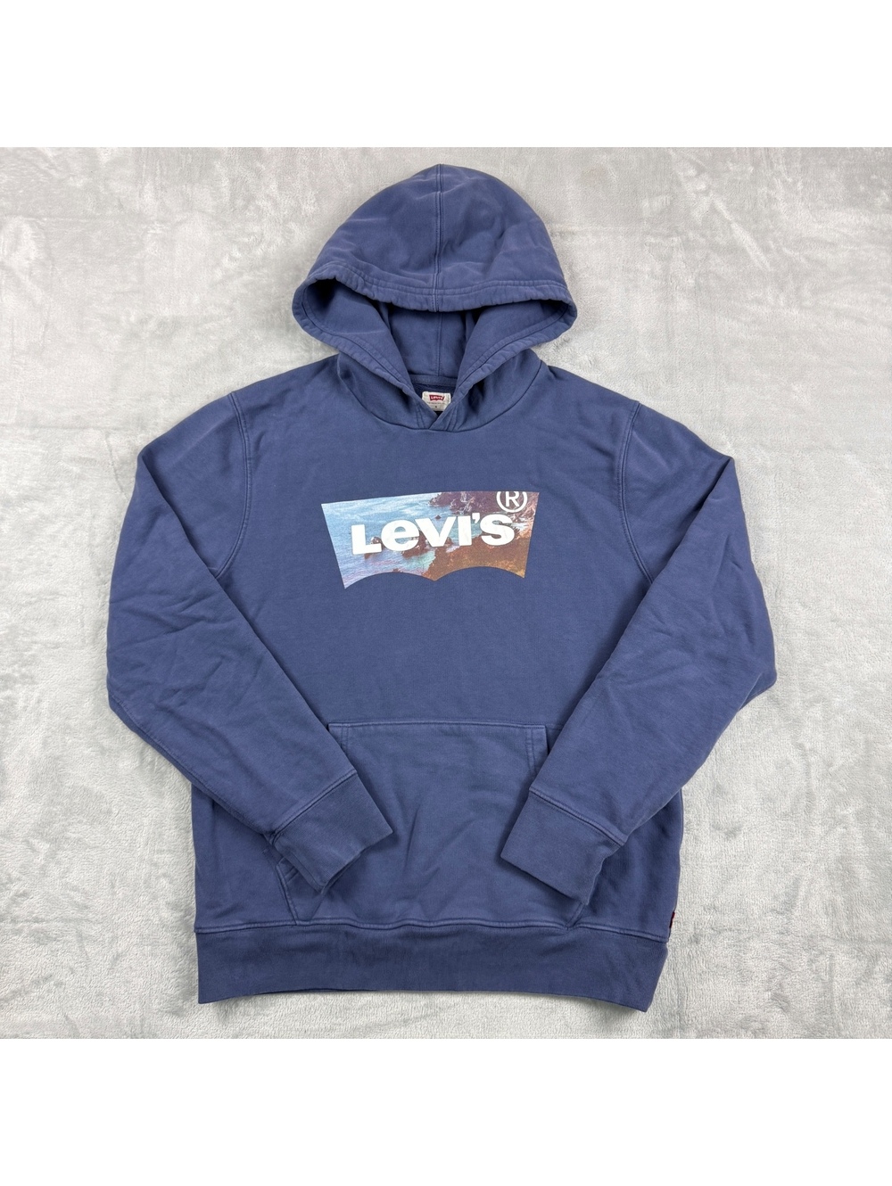 Levi's Men's S Blue Pullover Hoodie Scenic Batwing Logo Graphic Landscape Skater
